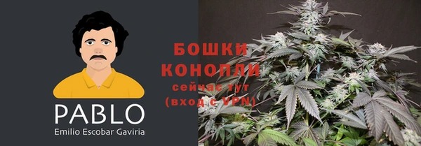 спайс Алексин