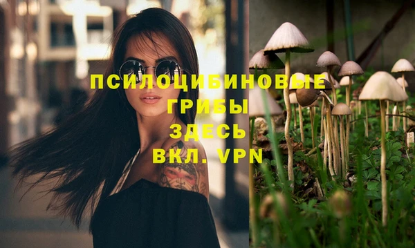 молекула духа Алексеевка