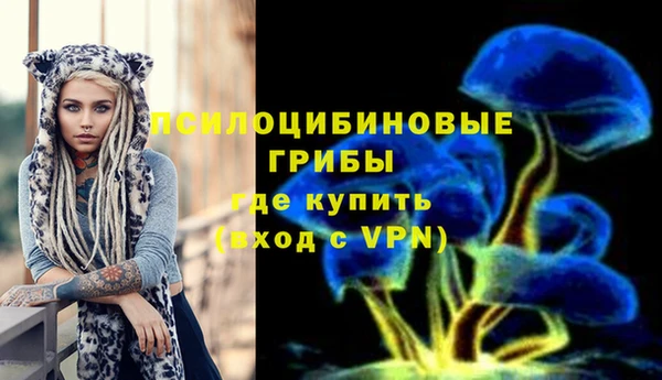 спайс Алексин