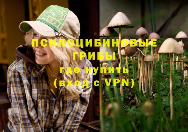 спайс Алексин
