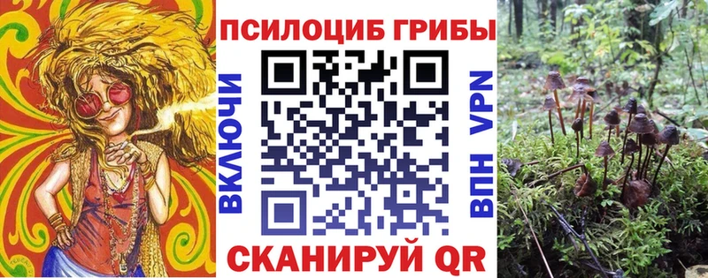 площадка наркотические препараты  хочу наркоту  Ленинск-Кузнецкий  Псилоцибиновые грибы MAGIC MUSHROOMS  mega онион 