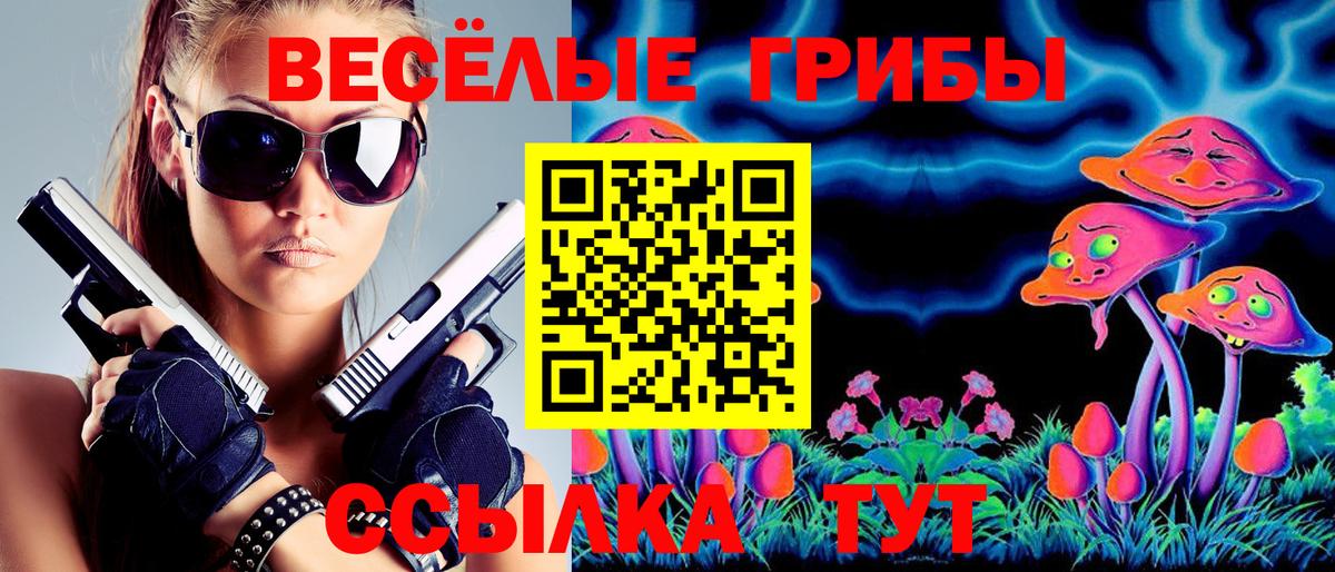 Псилоцибиновые грибы мухоморы  Псилоцибиновые грибы мухоморы  Ленинск-Кузнецкий  Вход с VPN 